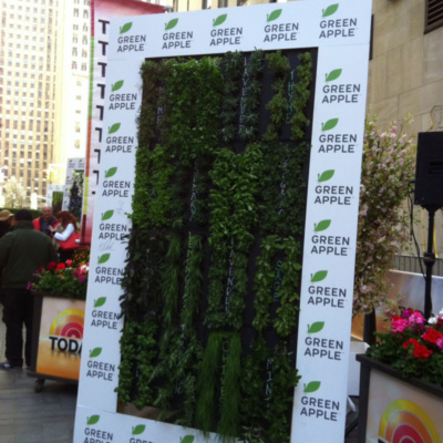 herb green wall on the today show tv