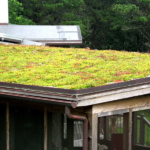 green living roofsinstaller company